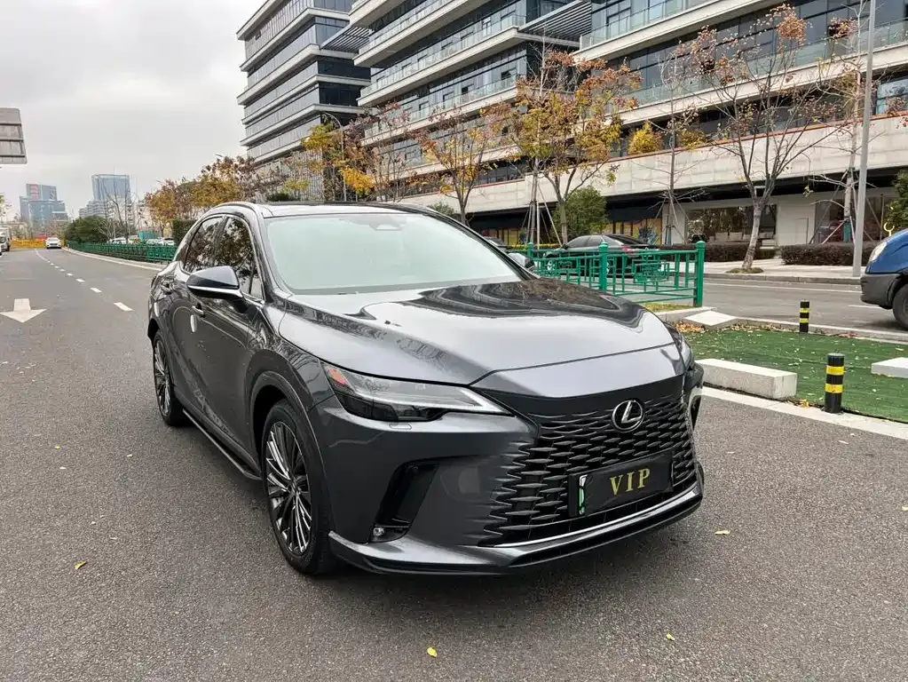 Lexus RX New Energy — фото 7