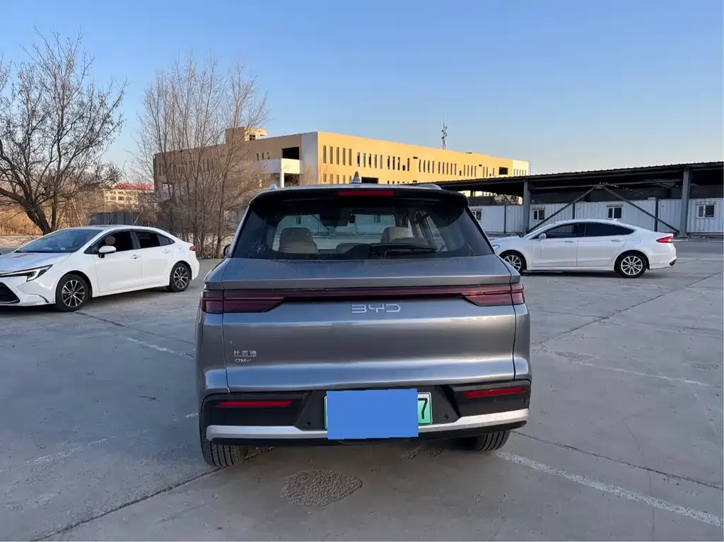 BYD Pro New Energy — фото 6