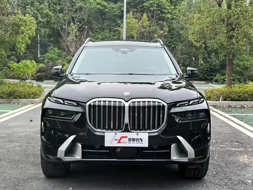 BMW X7 — фото 5