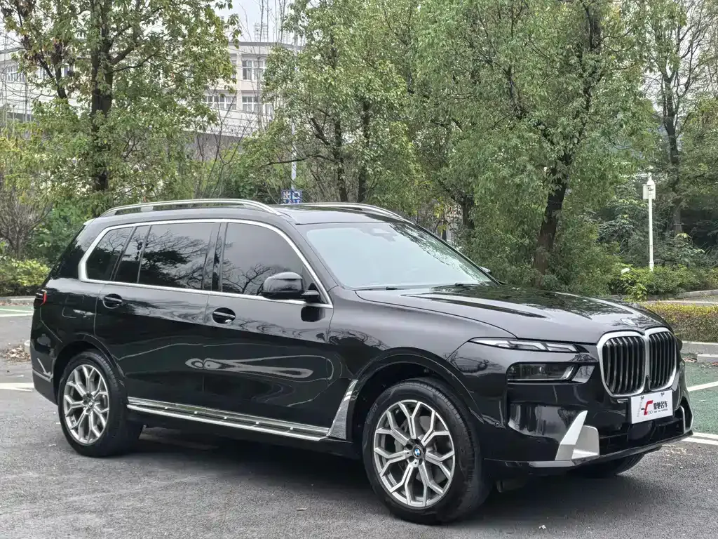 BMW X7 — фото 7