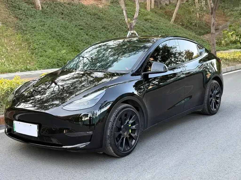 Tesla Model Y — фото 1
