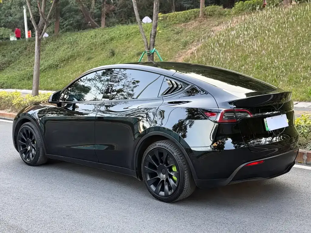 Tesla Model Y — фото 5