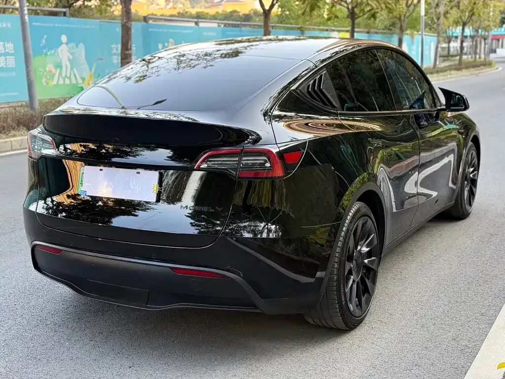 Tesla Model Y — фото 4
