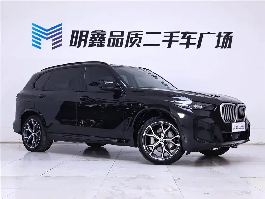 BMW X5 — фото 10