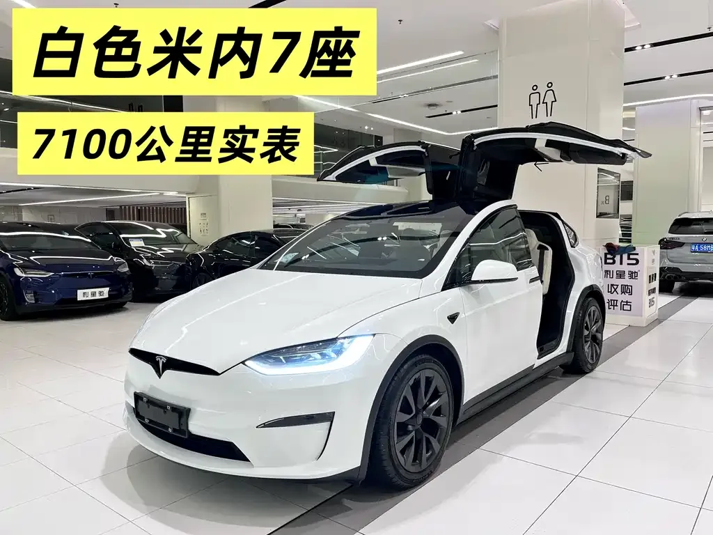 Tesla Model X — фото 1