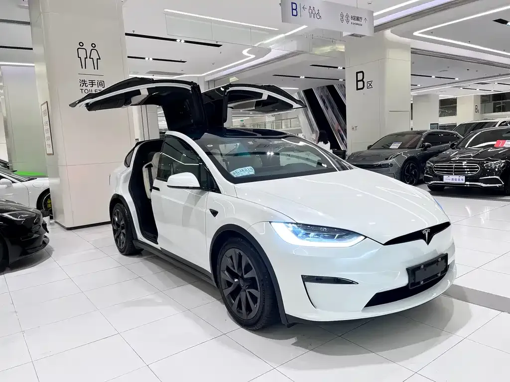 Tesla Model X — фото 8