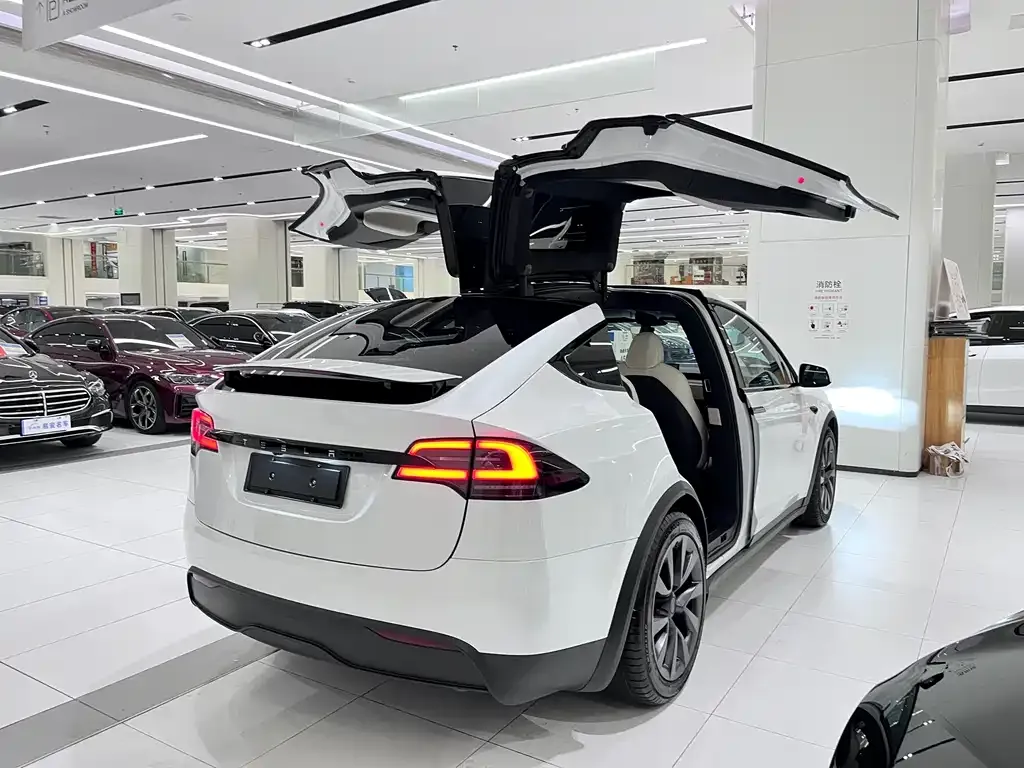 Tesla Model X — фото 3