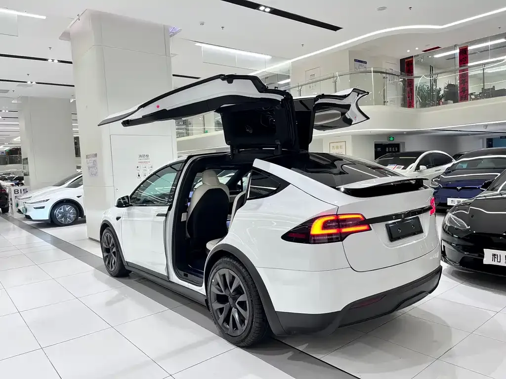 Tesla Model X — фото 2