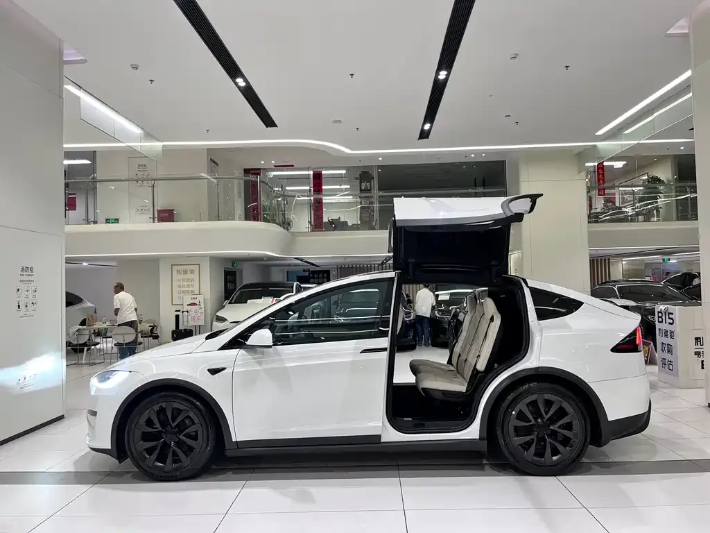 Tesla Model X — фото 9