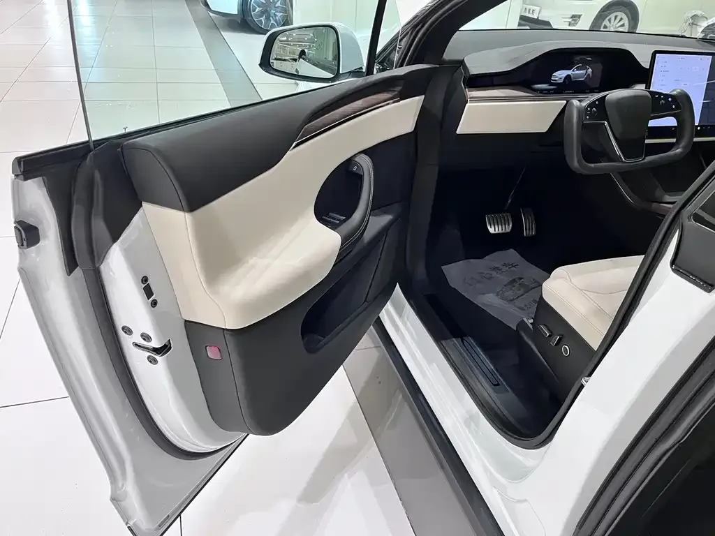 Tesla Model X — фото 10