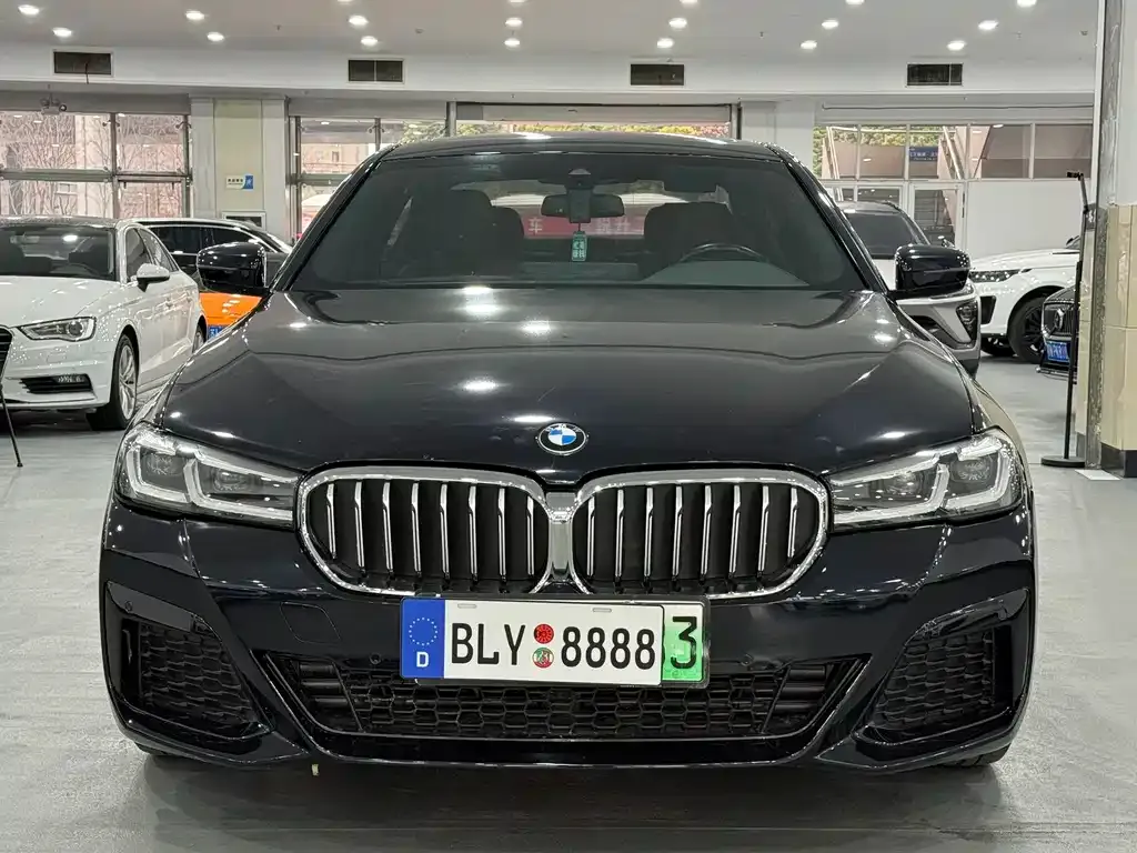 BMW 5 Series New Energy — фото 5