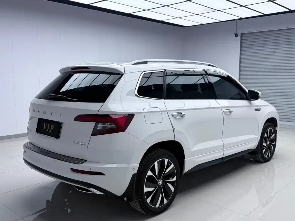Skoda Karoq — фото 10