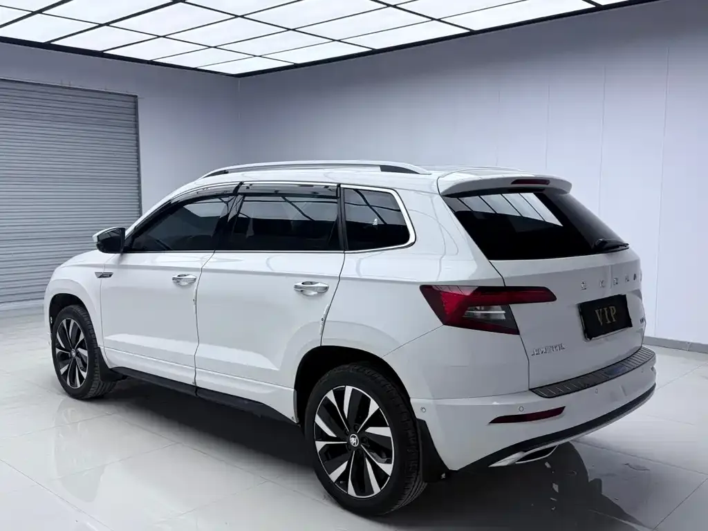 Skoda Karoq — фото 6