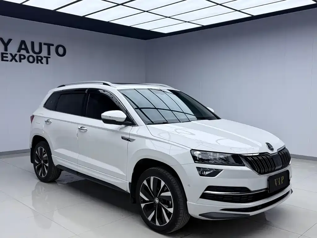 Skoda Karoq — фото 5