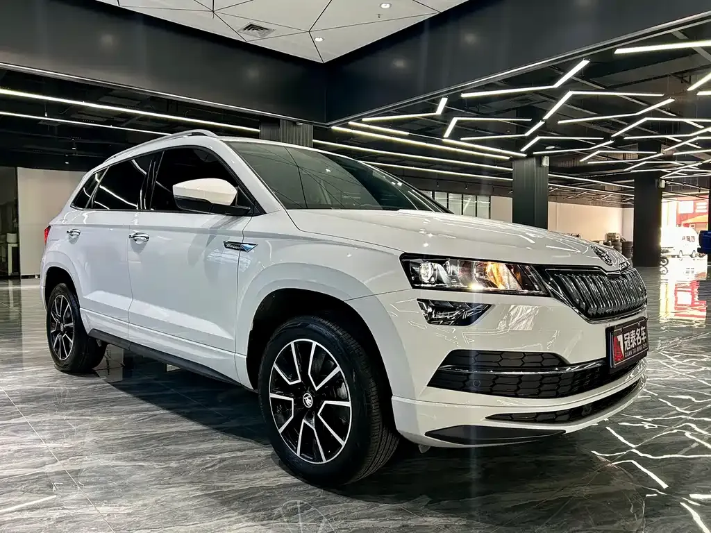 Skoda Karoq — фото 5