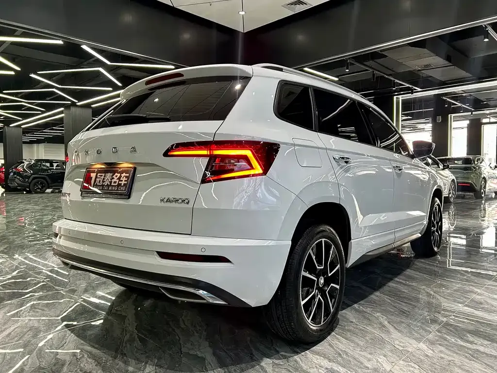Skoda Karoq — фото 3