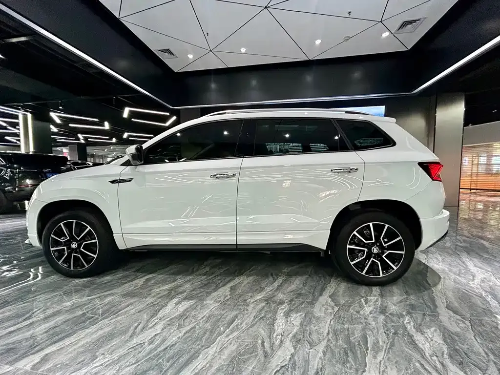 Skoda Karoq — фото 8