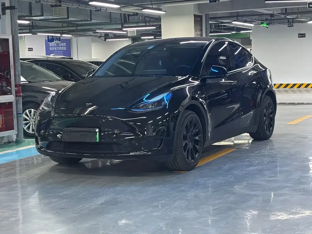Tesla Model Y — фото 1