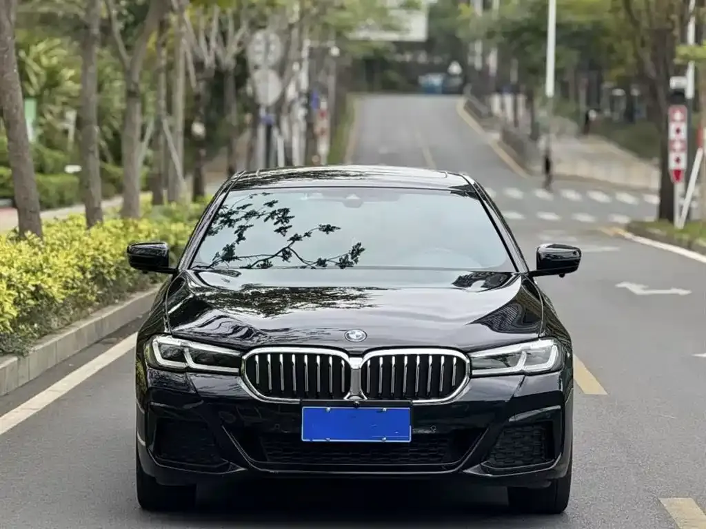 BMW 5 Series — фото 2