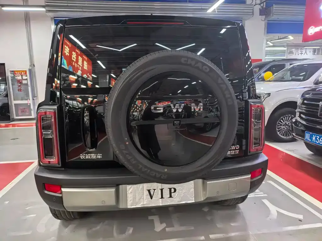 Haval Raptor — фото 10