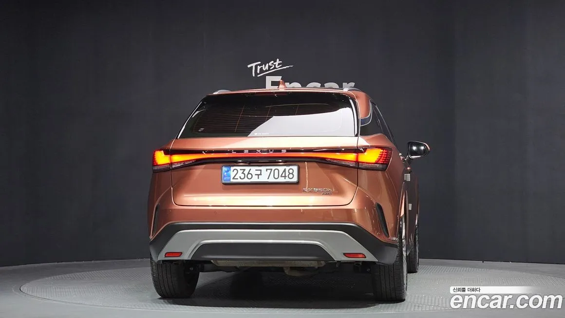 Lexus RX — фото 10
