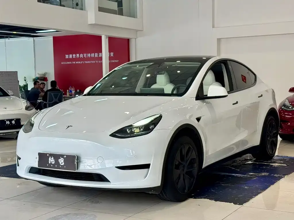 Tesla Model Y — фото 1