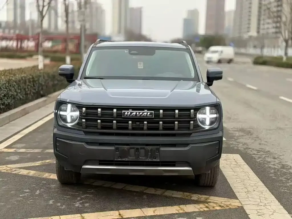 Haval Cool Dog — фото 10