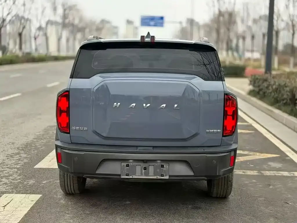 Haval Cool Dog — фото 6