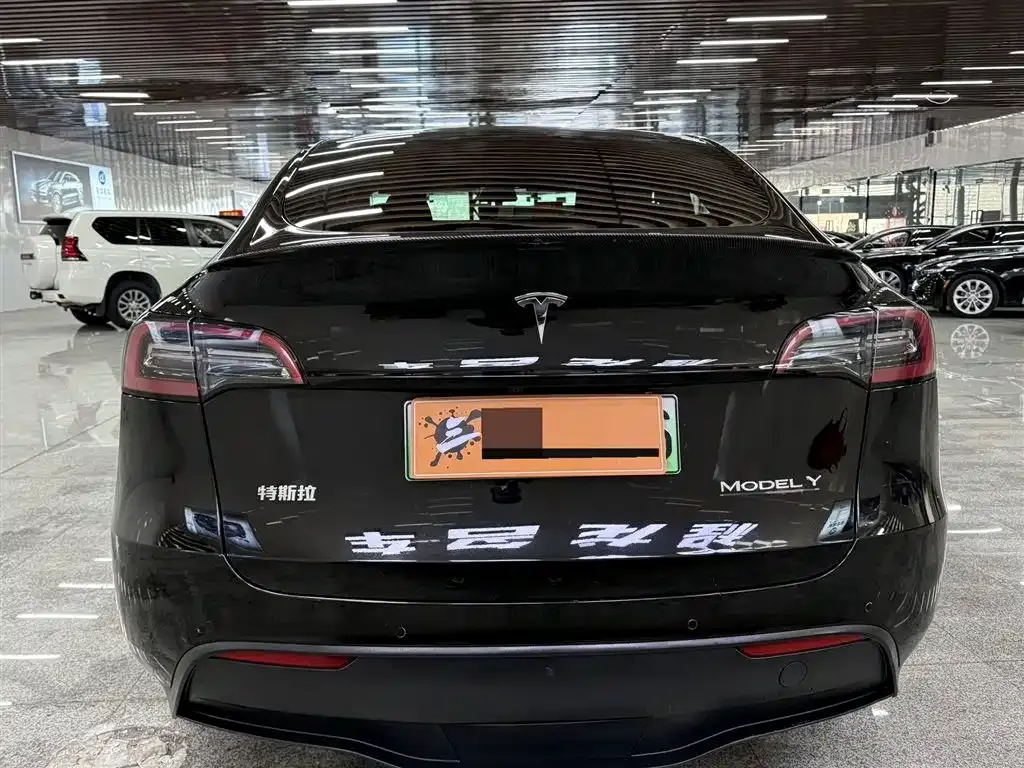 Tesla Model Y — фото 9