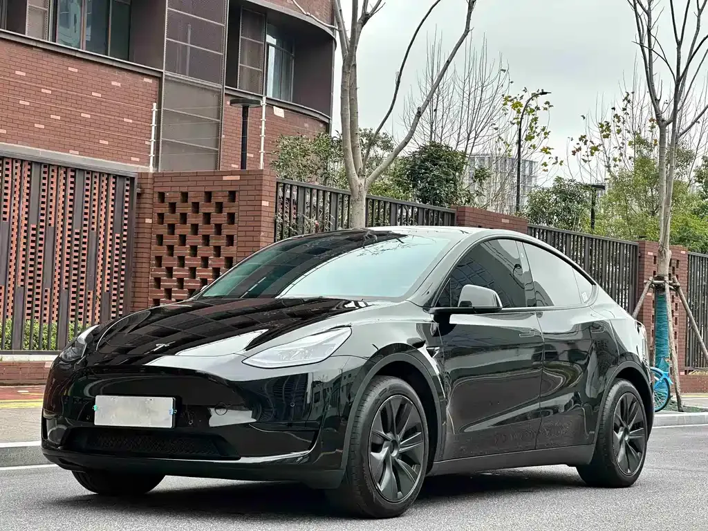 Tesla Model Y — фото 1