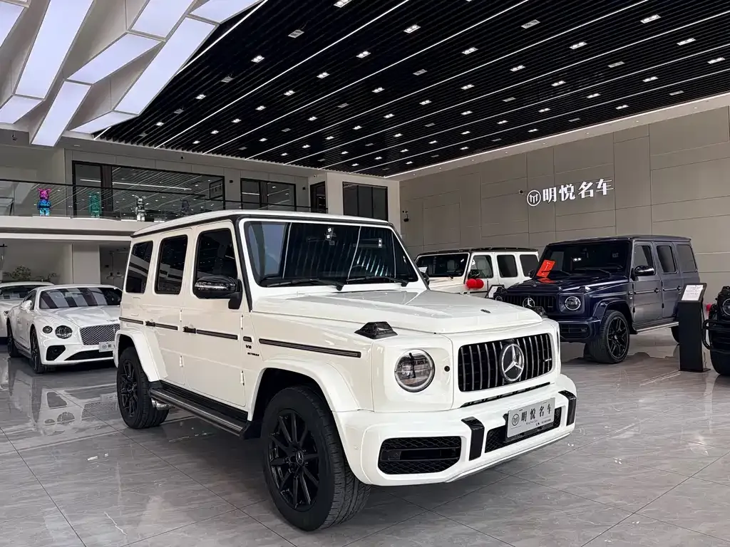 Mercedes-Benz G-Class — фото 10