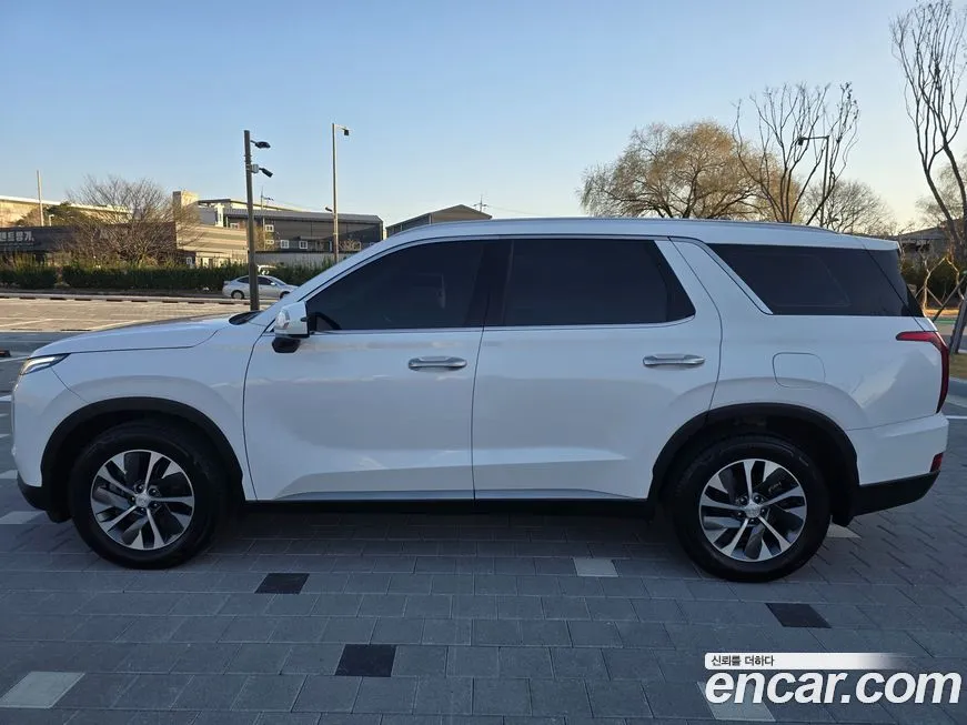 Hyundai Palisade — фото 10