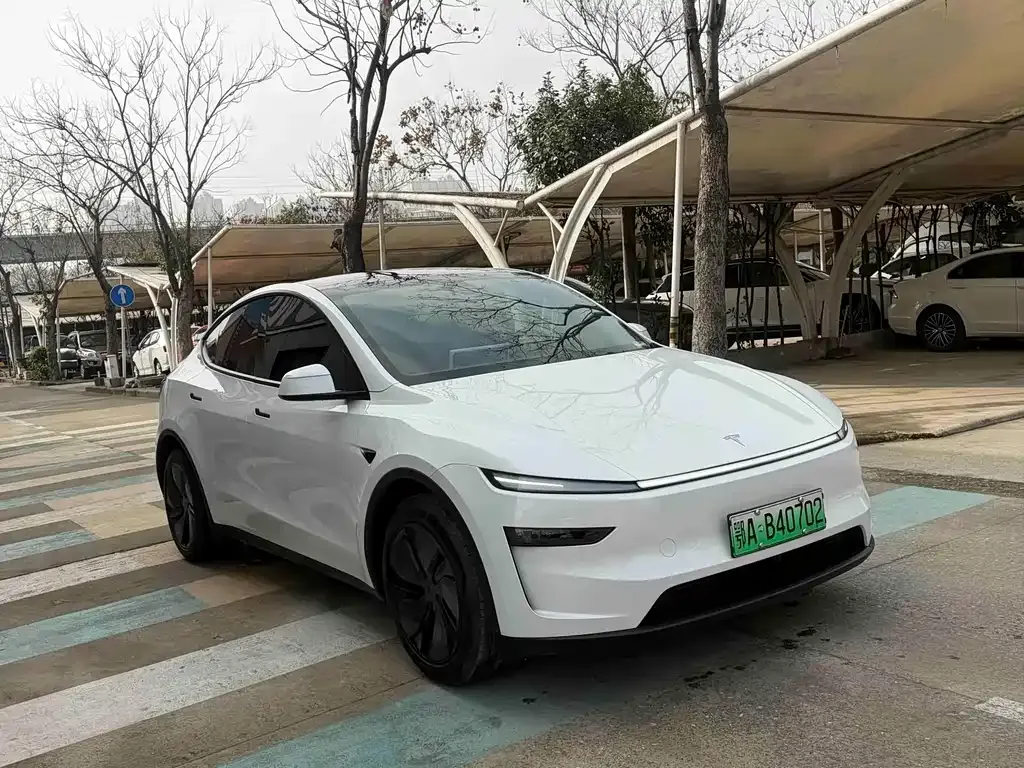 Tesla Model Y — фото 9