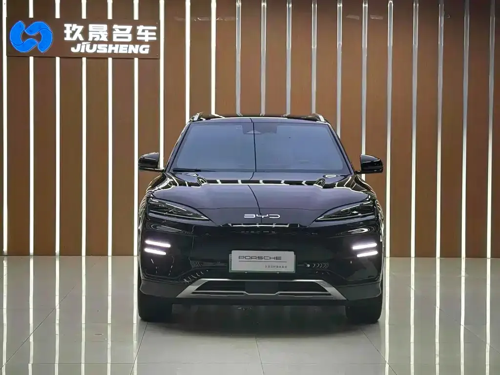 BYD PLUS New Energy — фото 5