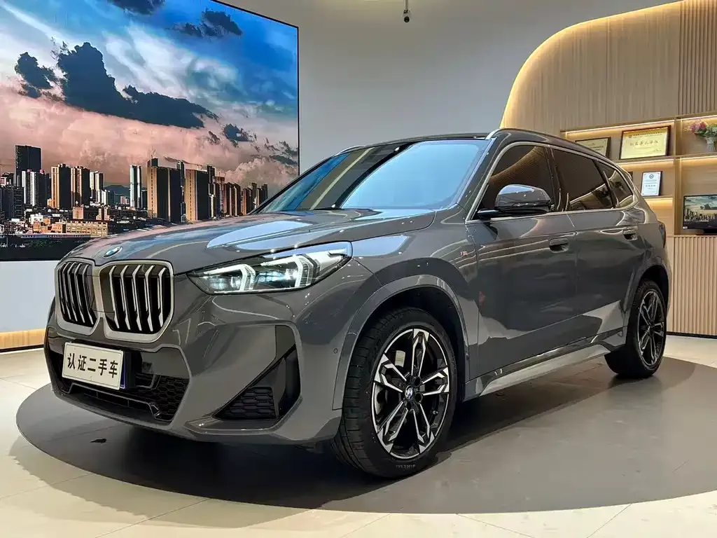 BMW X1 — фото 1
