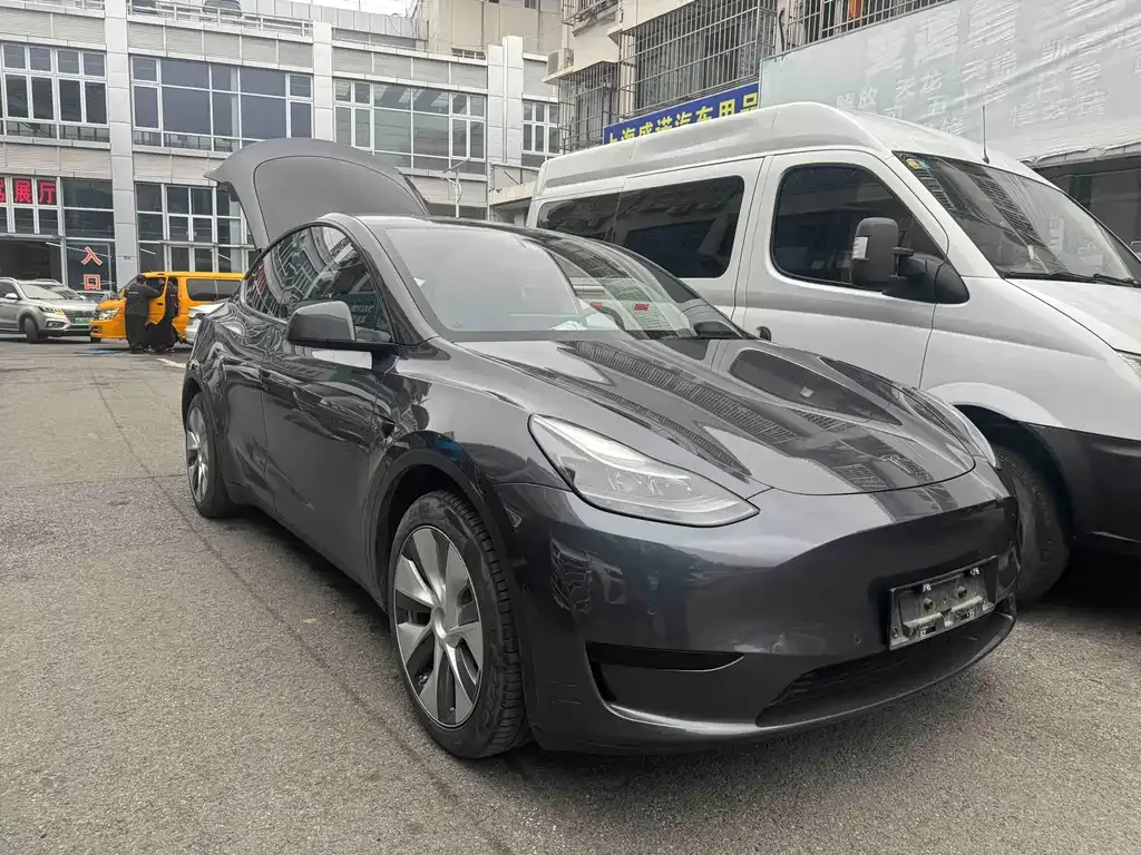 Tesla Model Y — фото 1