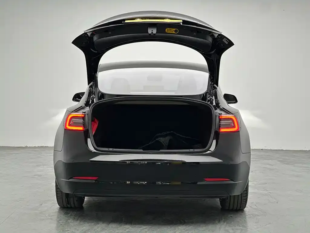 Tesla Model 3 — фото 2