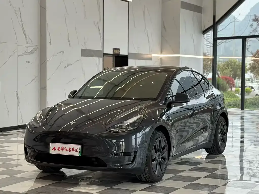 Tesla Model Y — фото 1