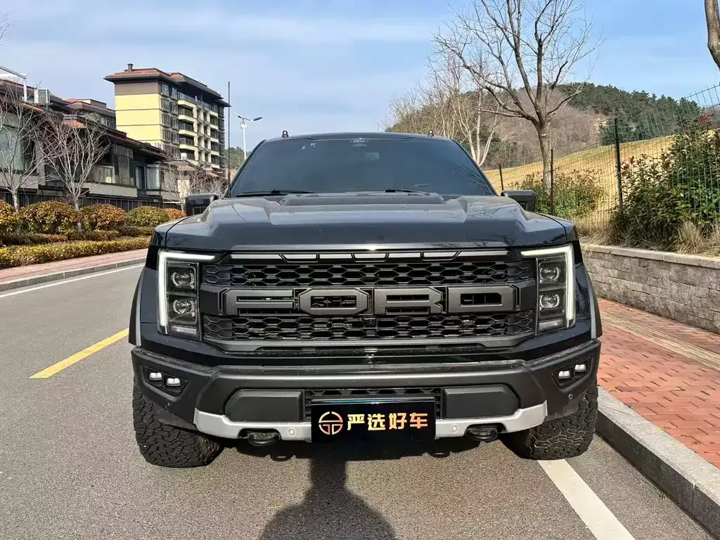 Ford F-150 Raptor — фото 3