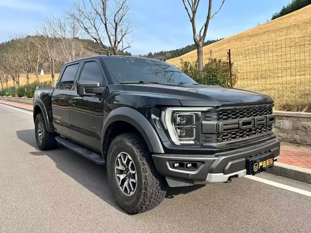 Ford F-150 Raptor — фото 4