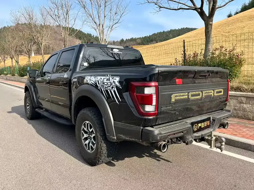 Ford F-150 Raptor — фото 9