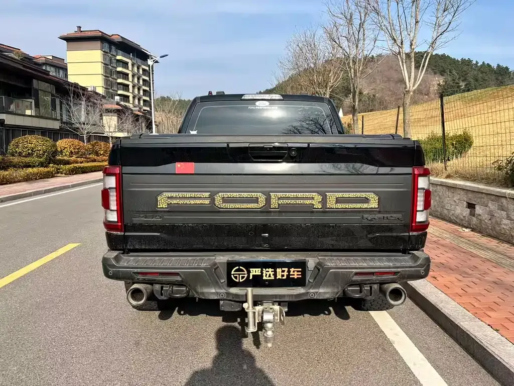 Ford F-150 Raptor — фото 7