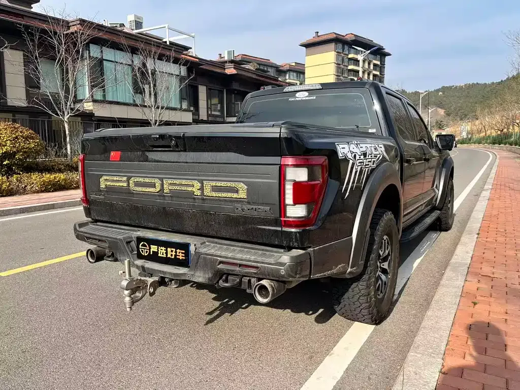 Ford F-150 Raptor — фото 6