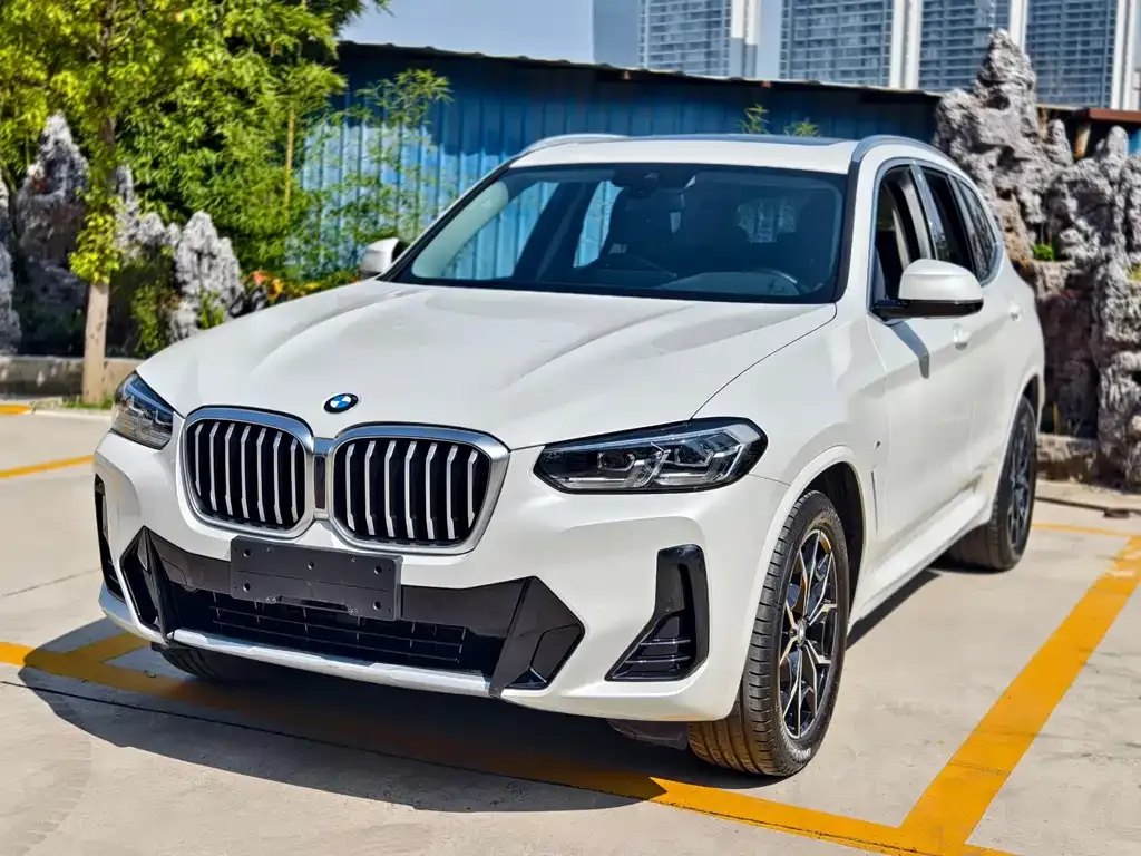 BMW X3 — фото 1