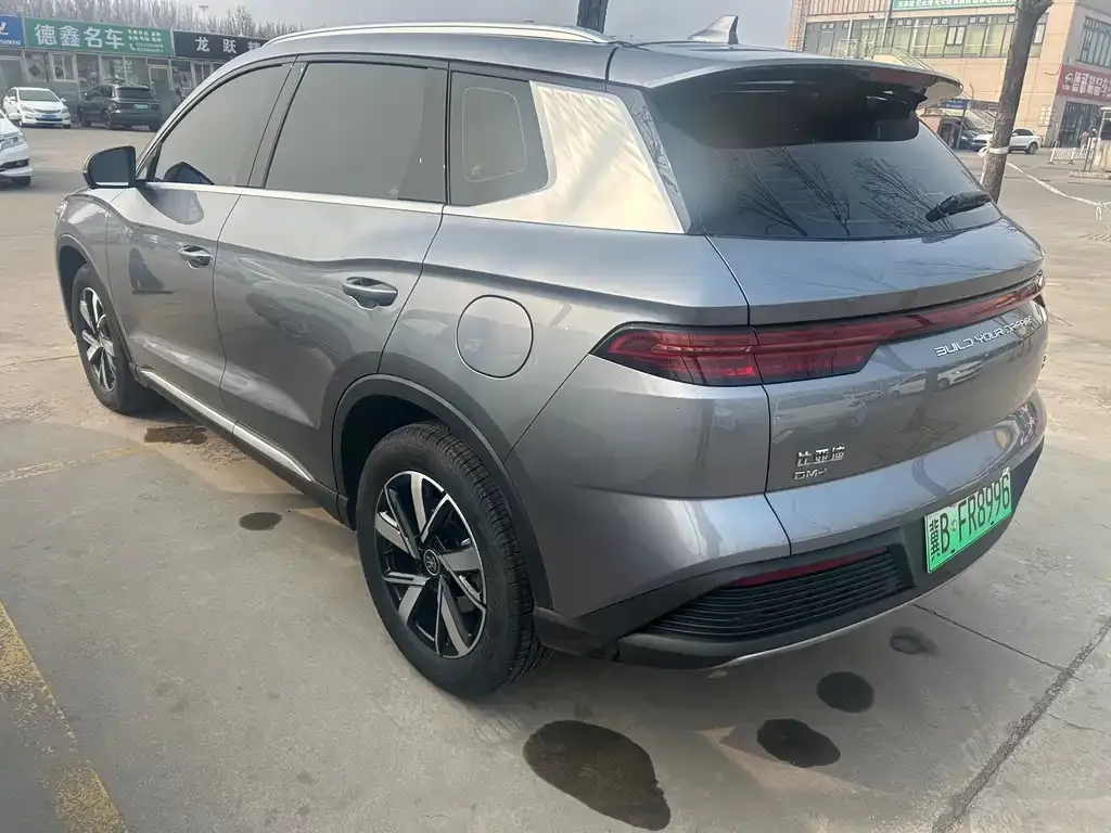 BYD Pro New Energy — фото 7