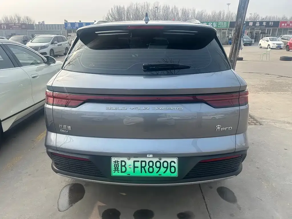 BYD Pro New Energy — фото 4