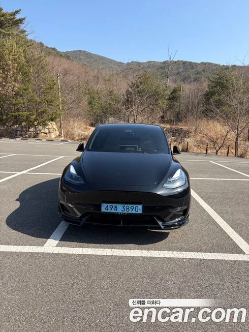 Tesla Model Y — фото 1