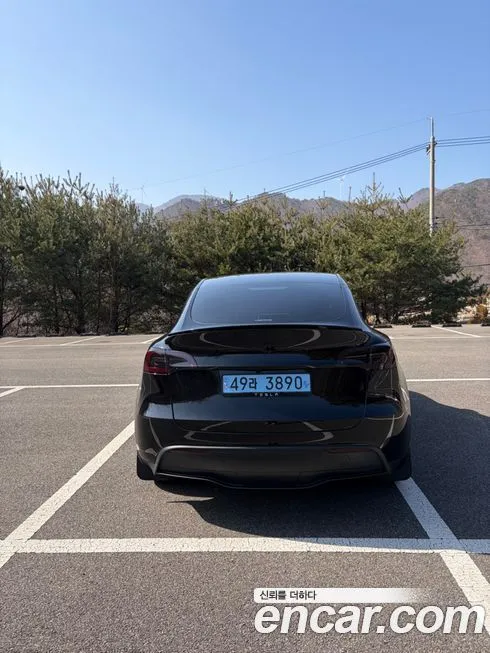 Tesla Model Y — фото 3