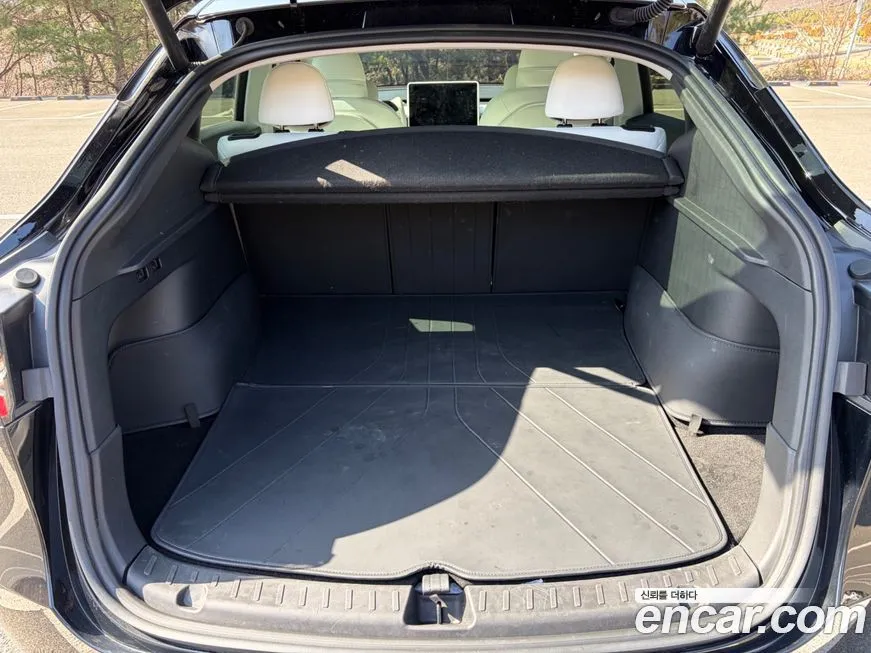 Tesla Model Y — фото 10