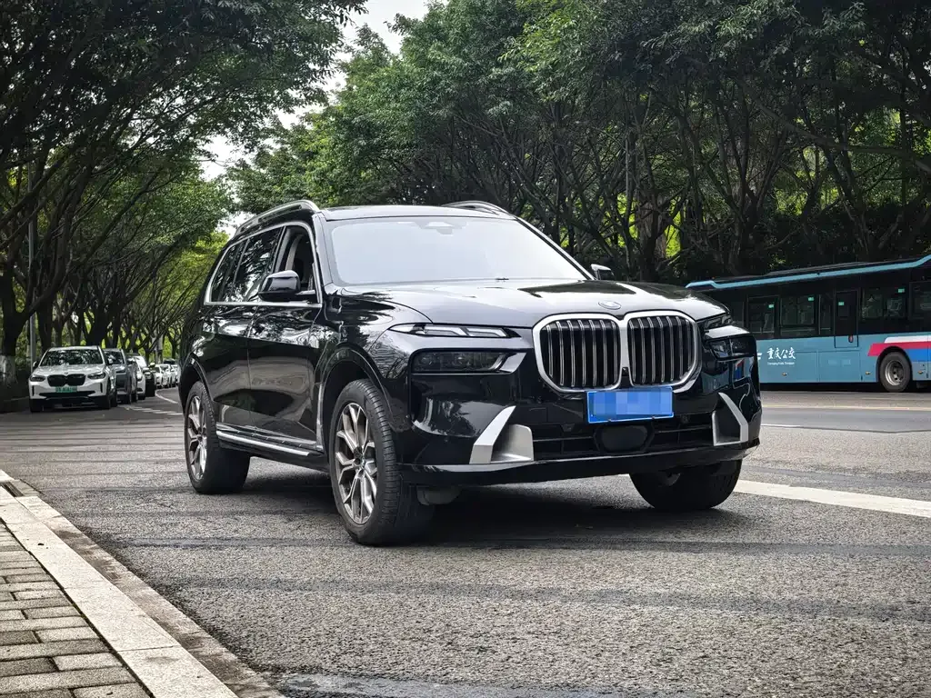 BMW X7 — фото 4